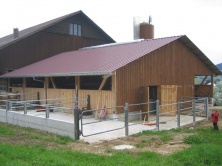 Stallanbau Schübelbach